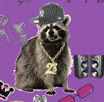 Bling Raccoon - Get Down Witchoo Bad Self