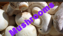 Budget Friendly Foods: Mushrooms | brokeGIRLrich