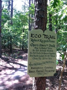 The Eco Trail at Steelmantown Cemetery