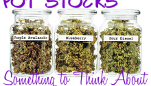 Pot Stocks: Something to Think About