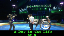 A Day in the Life of a Circus Performance Director