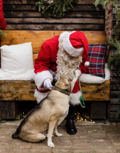 Bhodi & Santa