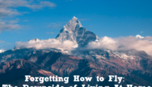 Forgetting How to Fly: The Downside of Living At Home