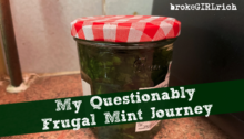 My Questionably Frugal Mint Journey