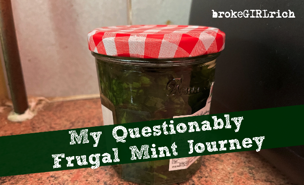 My Questionably Frugal Mint Journey